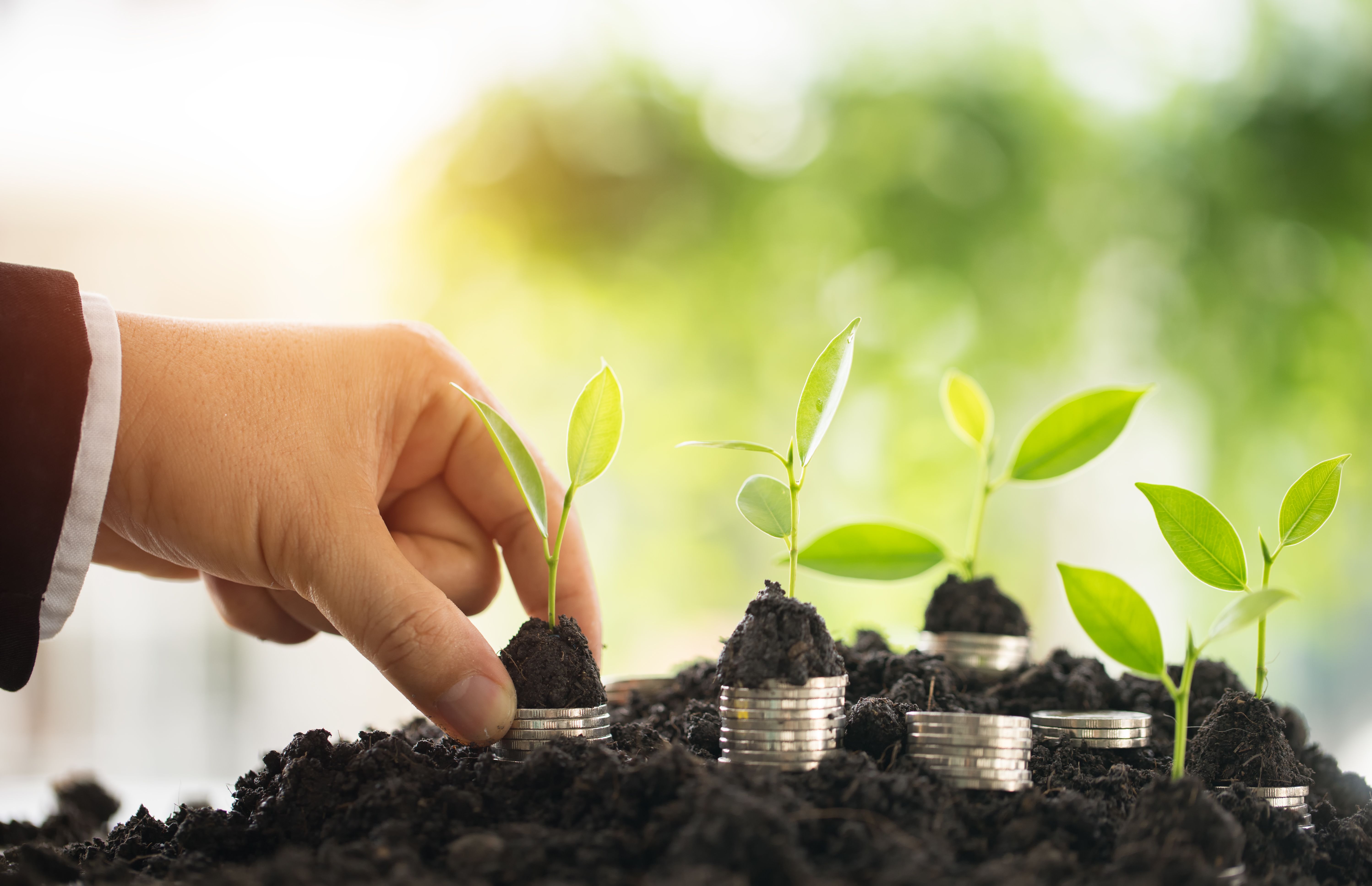 earth friendly investing for beginners